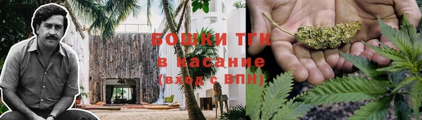гидра Киренск