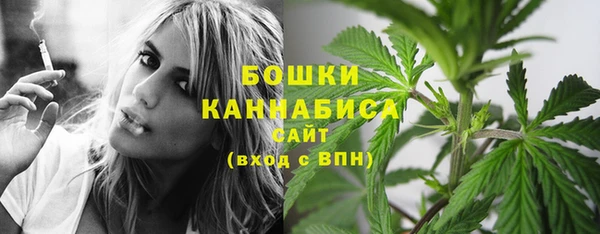 гидра Киренск