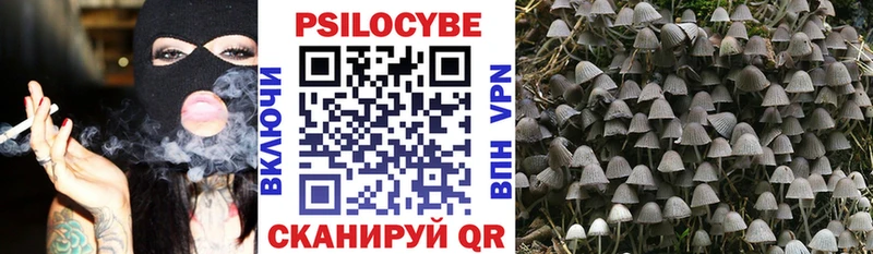 Галлюциногенные грибы GOLDEN TEACHER  Купить  Кадников 